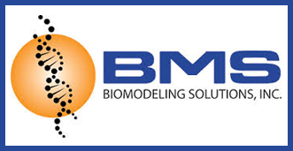 BioModeling Solutions, Inc.